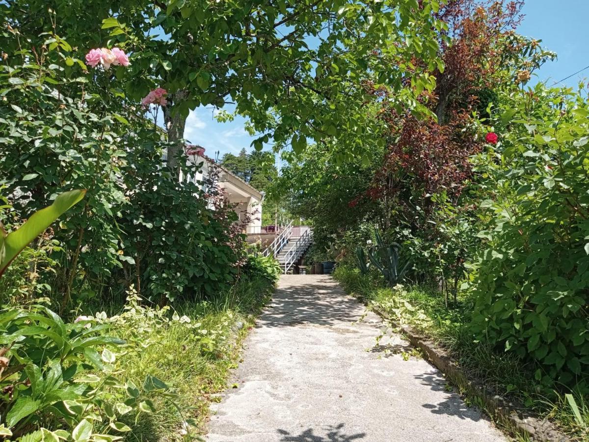Nunu'S Guesthouse Tskaltubo Εξωτερικό φωτογραφία